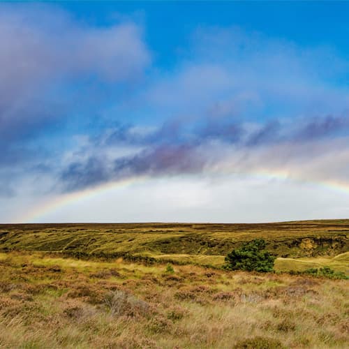 Halifax Area Guide Ryder & Dutton