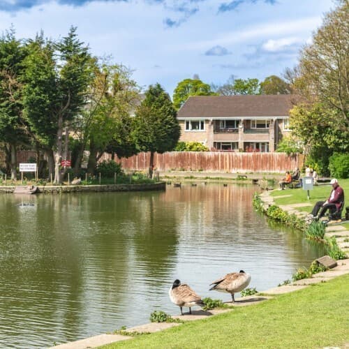 Lindley lows hill pond