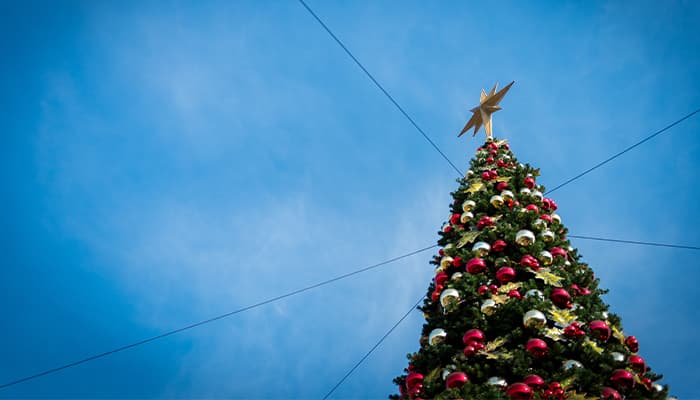 Large christmas tree against the sky