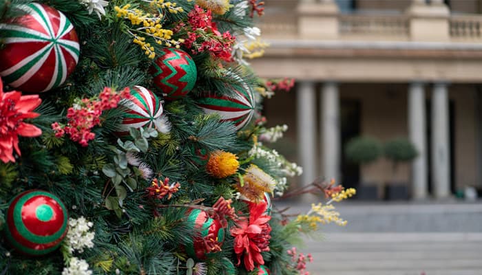 Close up of Christmas tree baubles