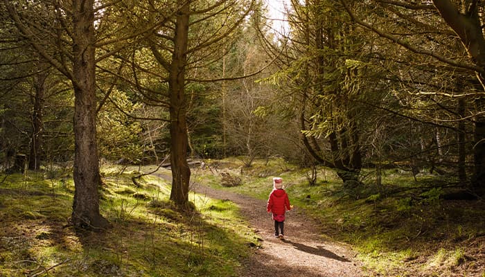 young child walking in woods