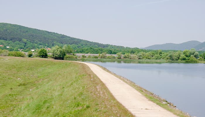 Daisy Nook Circular