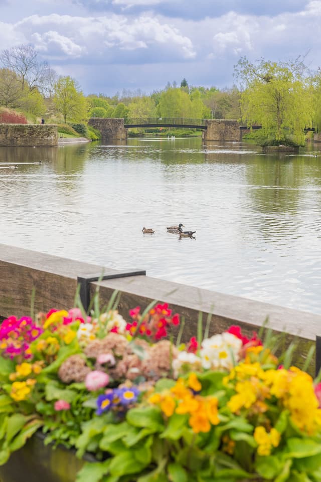 Alexandra Park